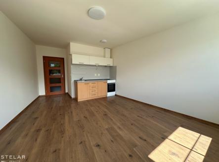 halkova-5.jpeg | Pronájem bytu, 1+kk, 33 m²