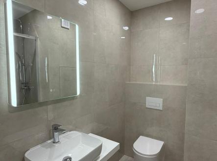 whatsapp-image-2026-06-02-at-17.11.26.jpeg | Pronájem bytu, 1+kk, 33 m²
