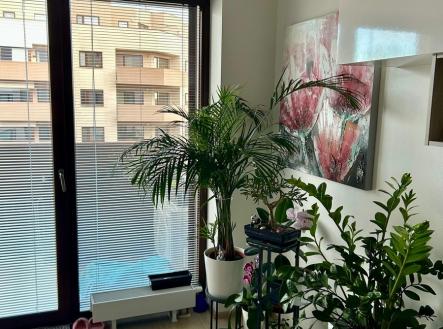 img-20250228-wa0002.jpg | Pronájem bytu, 2+kk, 52 m²