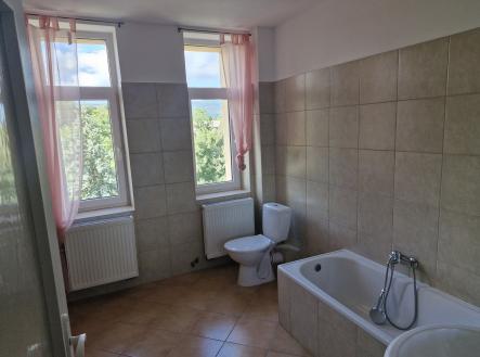 20250804_171409 | Pronájem bytu, 1+1, 48 m²