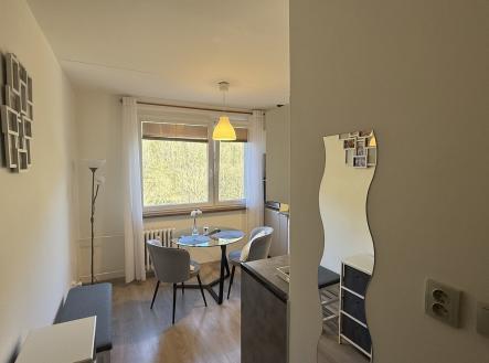 IMG_6033 | Pronájem bytu, 1+1, 37 m²