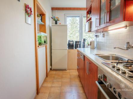 Pronájem bytu, 3+1, 64 m²