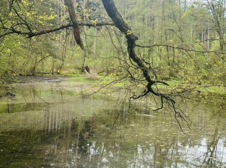 Prodej - pozemek,, 5 272 m²