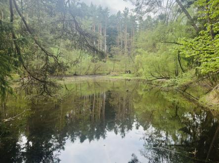 Prodej - pozemek,, 5 272 m²