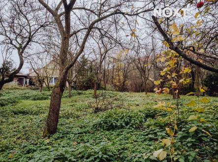 Prodej - pozemek pro bydlení, 437 m²