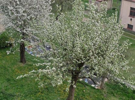 Pohled z lodžie | Pronájem bytu, 1+1, 49 m²