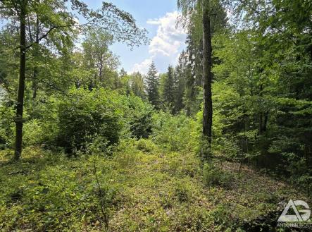 Chata Jevany 9 pozemek 3.jpg | Prodej - pozemek pro bydlení, 1 186 m²