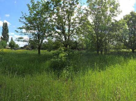 Soběsuky 9.jpg | Prodej - pozemek pro bydlení, 1 329 m²