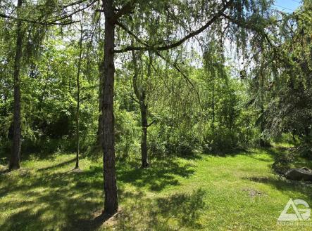 Soběsuky 6.jpg | Prodej - pozemek pro bydlení, 1 329 m²