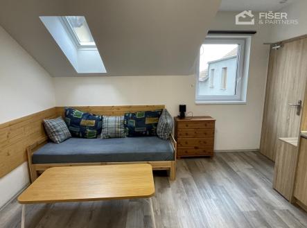 IMG_4741.jpg | Pronájem bytu, 1+kk, 35 m²