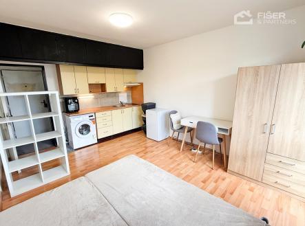 IMG_1517.JPG | Pronájem bytu, 1+kk, 30 m²