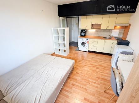 IMG_1515.JPG | Pronájem bytu, 1+kk, 30 m²