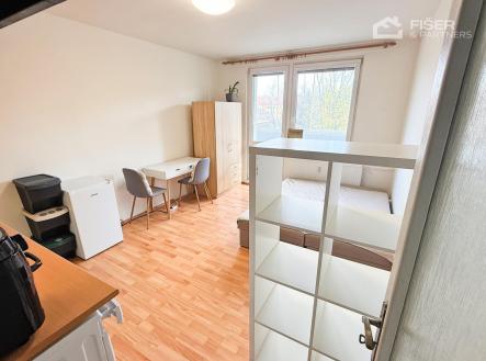 IMG_1516.JPG | Pronájem bytu, 1+kk, 30 m²
