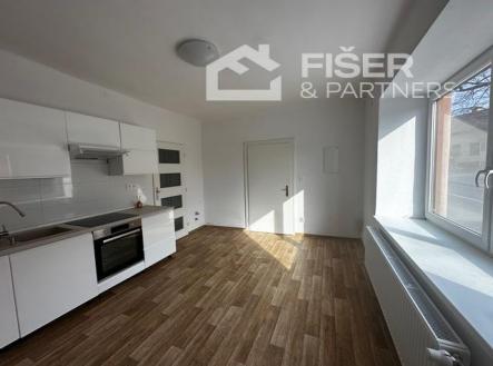 IMG_1426.jpeg | Pronájem bytu, 1+1, 39 m²