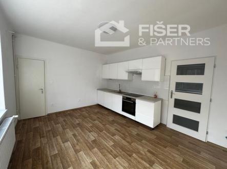 IMG_1424.jpeg | Pronájem bytu, 1+1, 39 m²