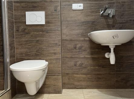 toaleta s umyvadlem | Pronájem bytu, 2+kk, 51 m²