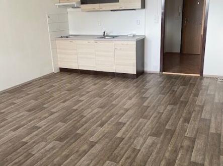 Pronájem bytu, 1+kk, 39 m² obrázek