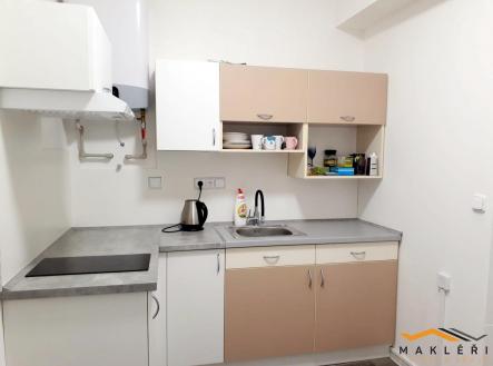 Obrázek WhatsApp, 2022-12-02 v 13.34.21.jpg | Pronájem bytu, 1+1, 48 m²