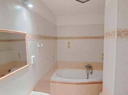 IMG-20250616-WA0060.jpg | Pronájem bytu, 3+1, 74 m²
