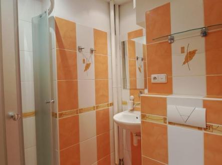 1710135083_r4lu8XQY3G.jpg | Pronájem bytu, 1+kk, 25 m²