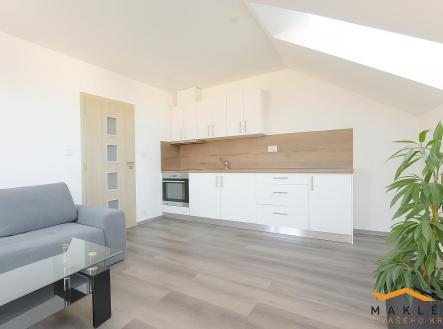 sn1.jpg | Pronájem bytu, 1+kk, 39 m²