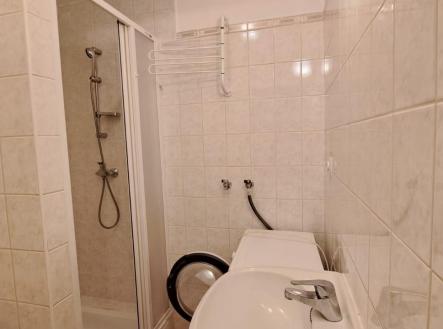 WhatsApp Image 2025-11-26 at 17.04.56.jpeg | Pronájem bytu, 1+kk, 34 m²