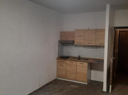 12.jpeg | Pronájem bytu, 1+kk, 28 m²