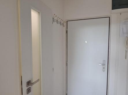 20240502_111332.jpg | Pronájem bytu, 1+1, 34 m²