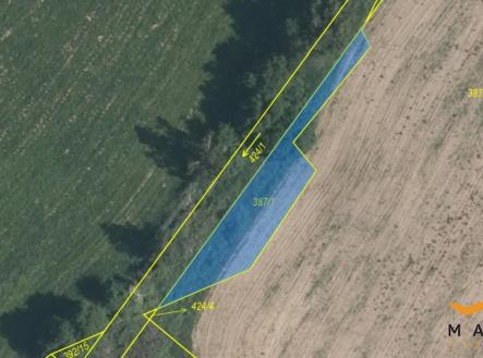 387-1.jpg | Prodej - pozemek, trvalý travní porost, 16 013 m²