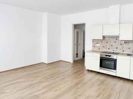 PELHL1.jpg | Pronájem bytu, 1+kk, 32 m²