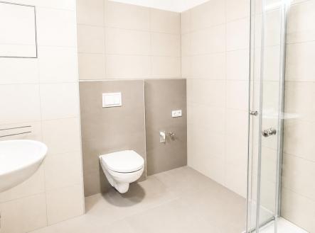 PELHL3.jpg | Pronájem bytu, 1+kk, 32 m²