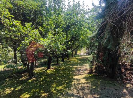 Pronájem - chata/rekreační objekt, 39 m²