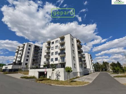 img-20250705-115128-lo.jpg | Pronájem bytu, 3+kk, 74 m²