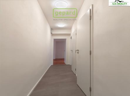 img-20250720-183256-1-lo.jpg | Pronájem bytu, 2+1, 60 m²