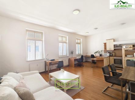pronajem-byt-2-kk.plzen-12.jpg | Pronájem bytu, 2+kk, 78 m²
