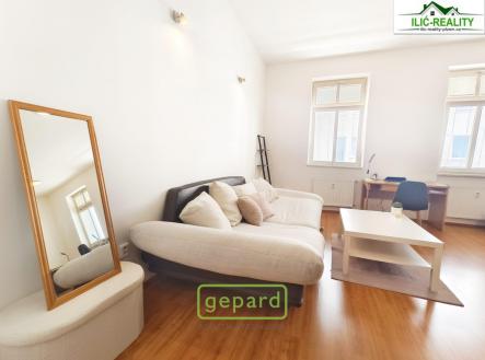 pronajem-byt-2-kk.plzen-11.jpg | Pronájem bytu, 2+kk, 78 m²