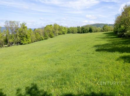 . | Prodej - pozemek, zemědělská půda, 19 126 m²