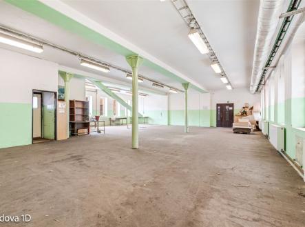 B1D | Pronájem - jiné, 5 199 m²