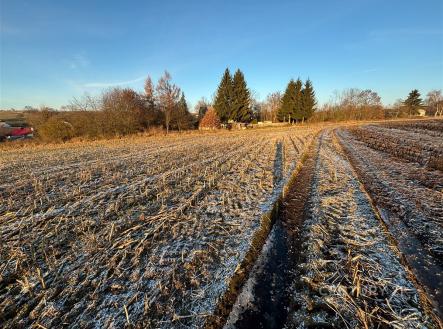 . | Prodej - pozemek pro bydlení, 2 530 m²