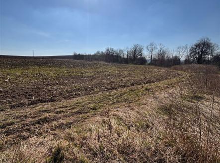 . | Prodej - pozemek pro bydlení, 2 530 m²