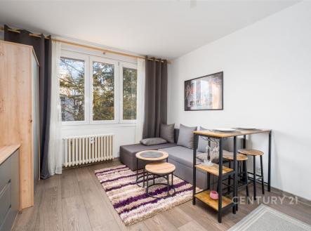 . | Pronájem bytu, 1+kk, 20 m²