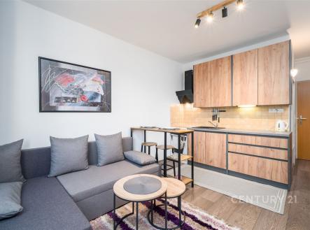 . | Pronájem bytu, 1+kk, 20 m²