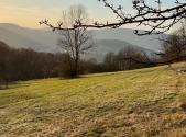 Prodej - pozemek, trvalý travní porost, 25 018 m²