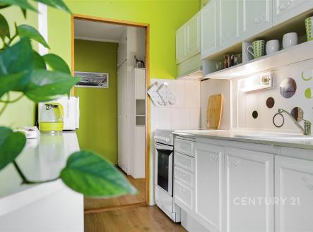 . | Pronájem bytu, 3+1, 67 m²