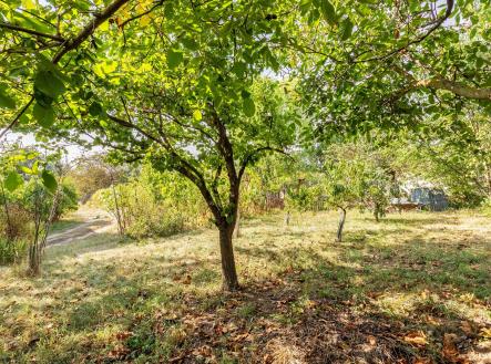 Bez popisku | Prodej - pozemek pro komerční výstavbu, 1 640 m²