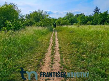 20250604_165630 | Prodej - pozemek pro bydlení, 3 622 m²