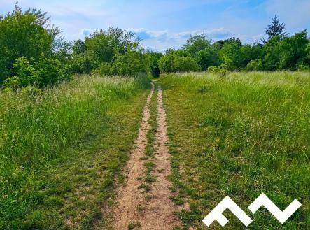 20250604_165630 | Prodej - pozemek pro bydlení, 3 622 m²