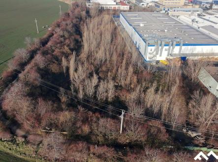 pozemky Víťa (6) | Prodej - pozemek, ostatní, 12 065 m²
