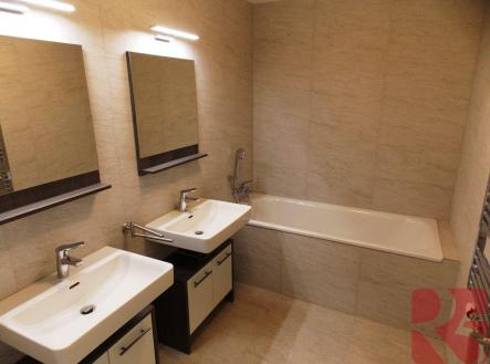 DSCN9800.JPG | Pronájem bytu, 3+kk, 100 m²