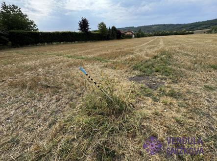 pozemek | Prodej - pozemek pro bydlení, 6 729 m²